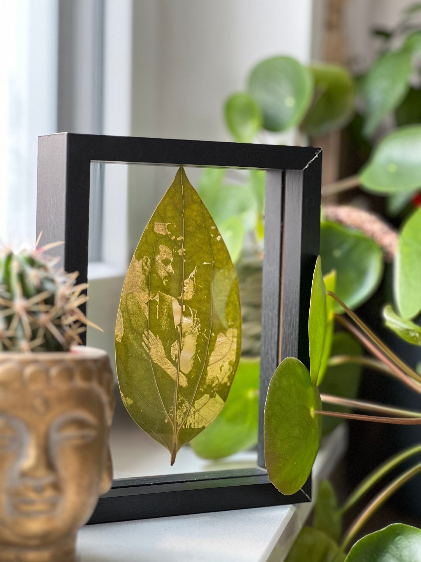 PhotoLeaves® - Personalisierte Blätter